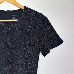 Ann Taylor dress 2P
